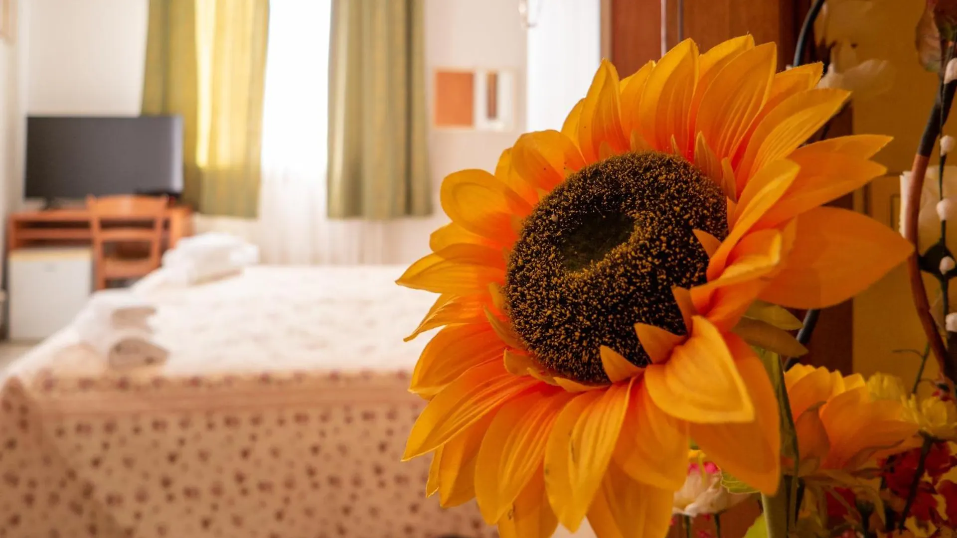 Bed & Breakfast B&B New Aurora Venice Marghera Italië